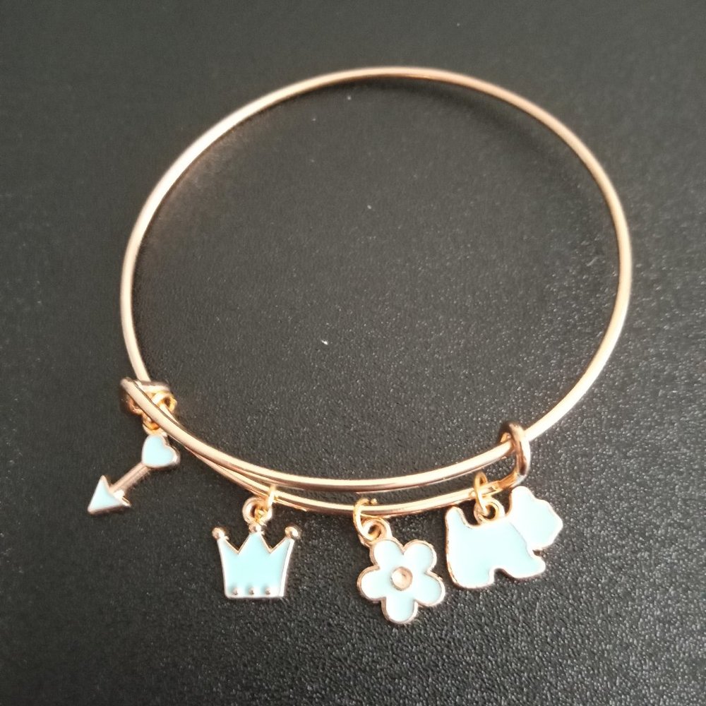 Charm bracelets